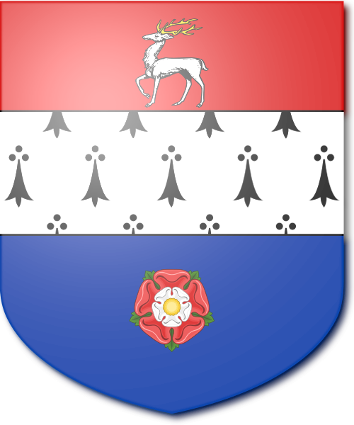 Shield image