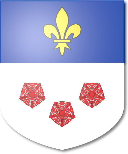 Shield image