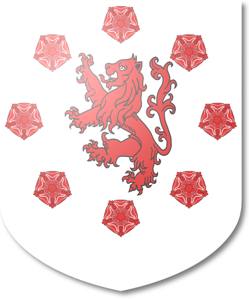 Shield image