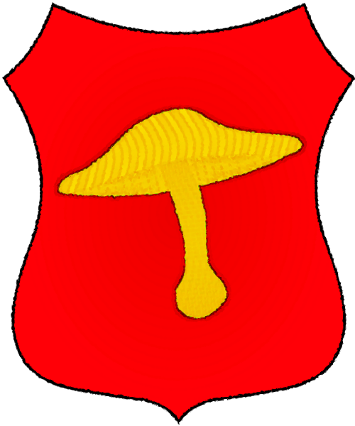 Shield image