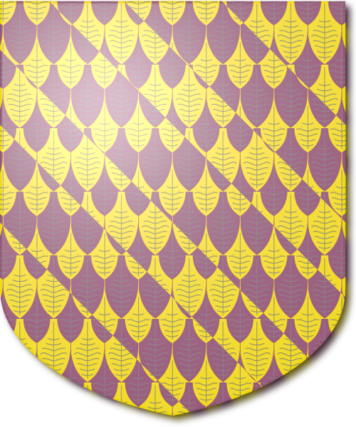 Shield image