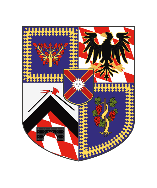 Shield image