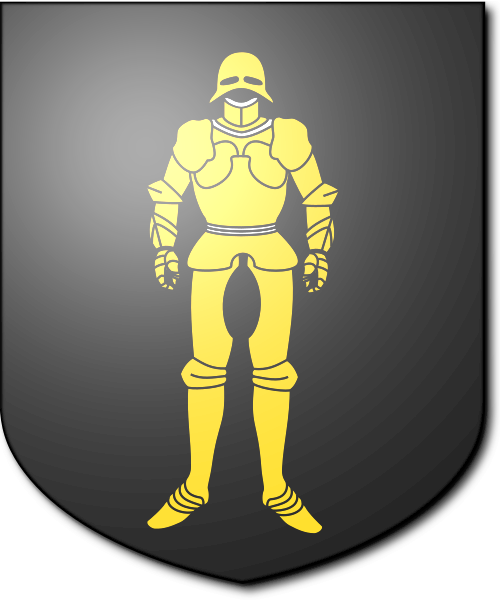 Shield image