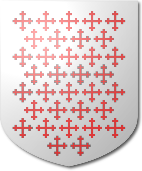 Shield image