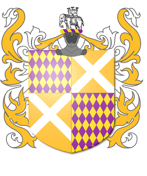 Shield image