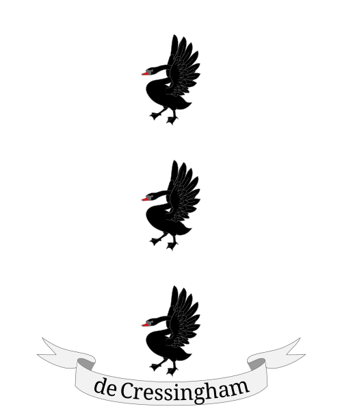 Shield image