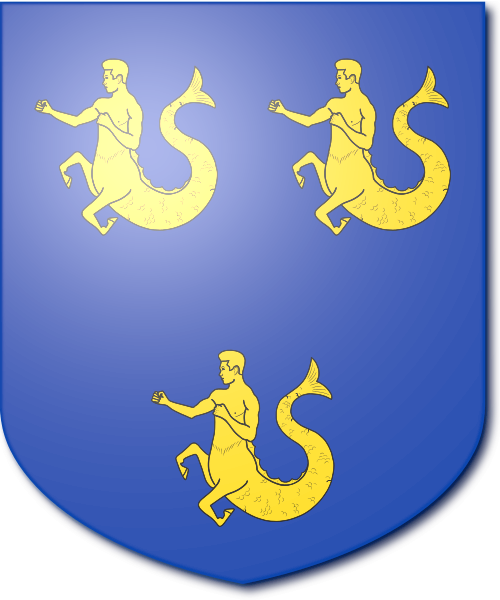 Shield image