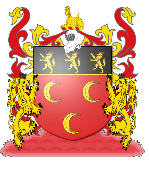 Shield image