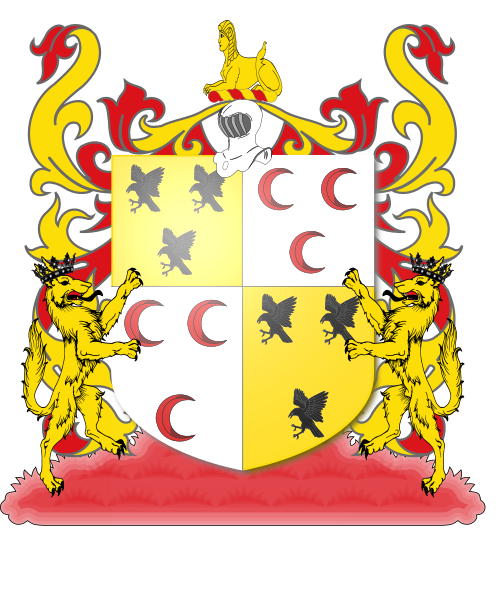 Shield image