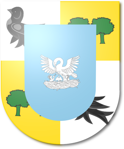 Shield image