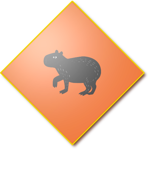 Shield image