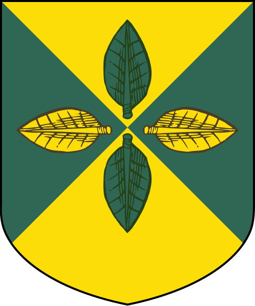 Shield image