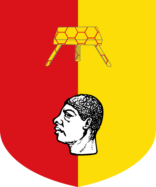 Shield image