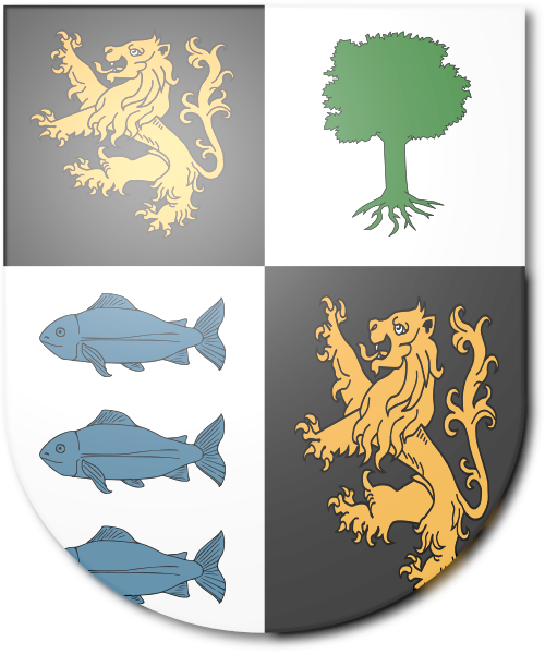 Shield image