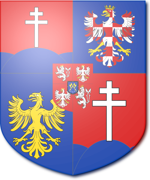 Shield image