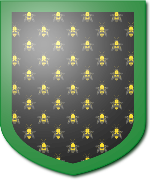 Shield image