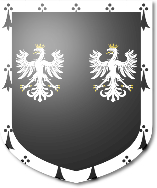 Shield image