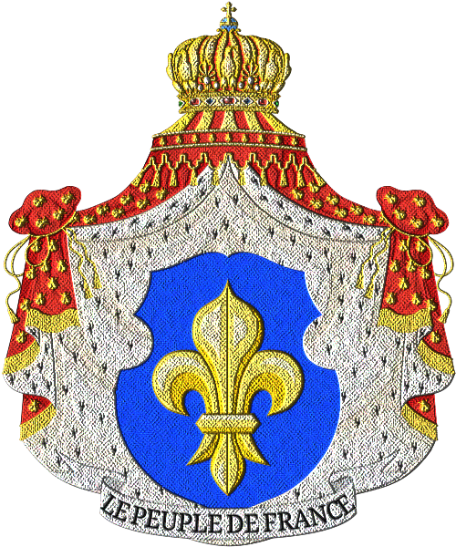 Shield image