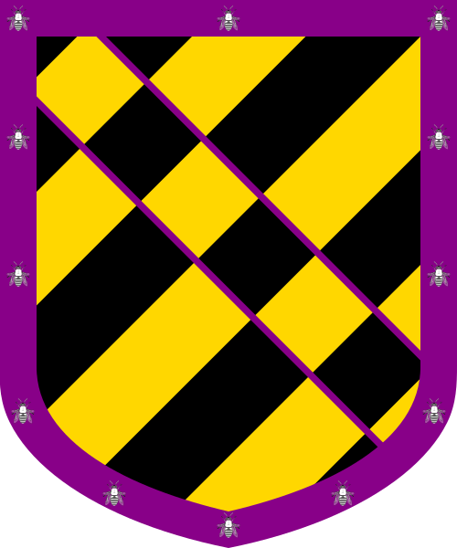 Shield image