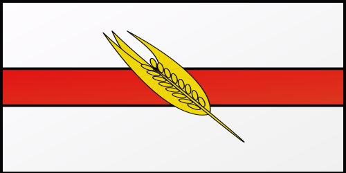Shield image