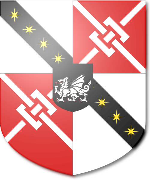 Shield image
