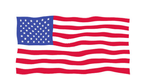 Shield image