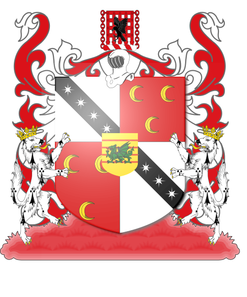 Shield image
