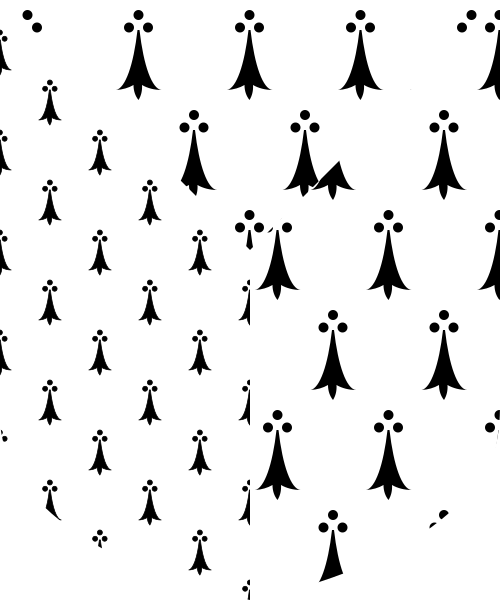 Shield image
