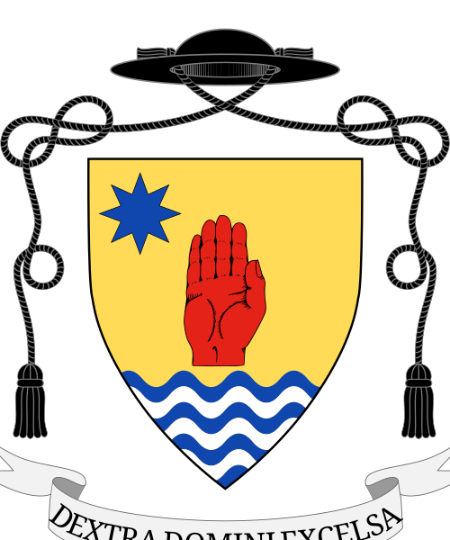 Shield image