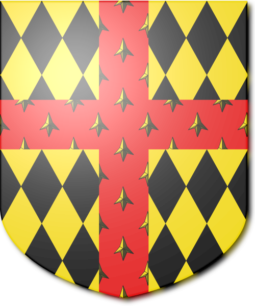 Shield image