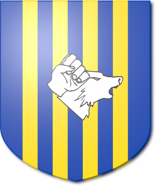 Shield image