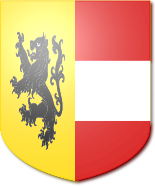 Shield image