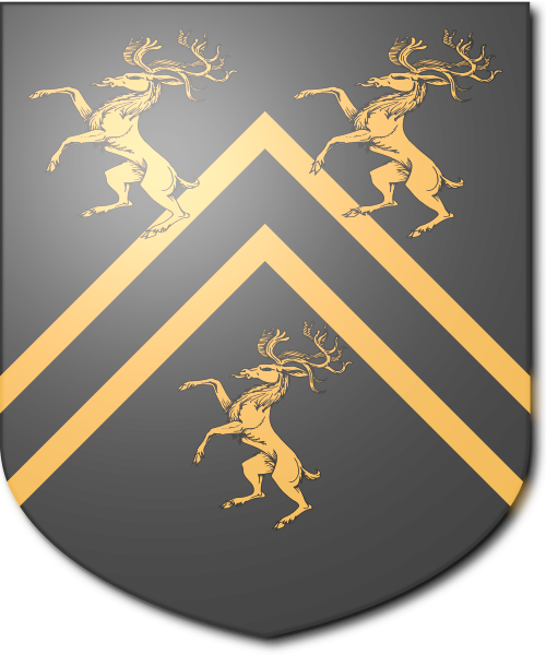 Shield image