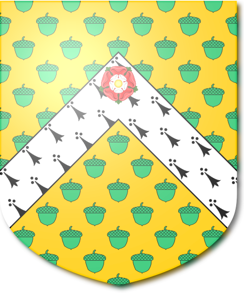 Shield image