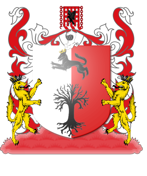 Shield image