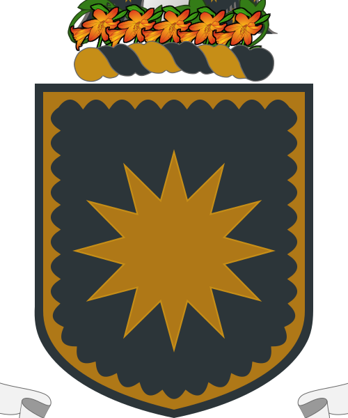 Shield image