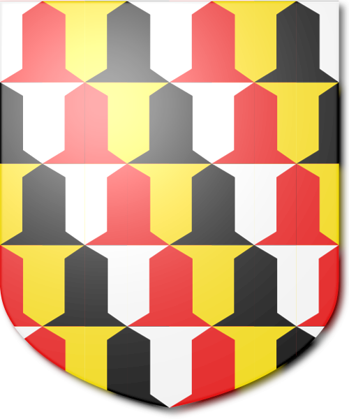 Shield image