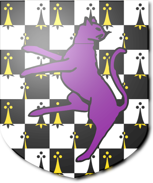 Shield image