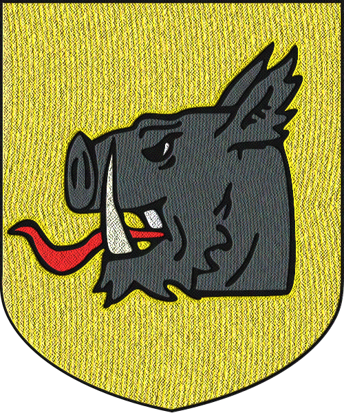 Shield image