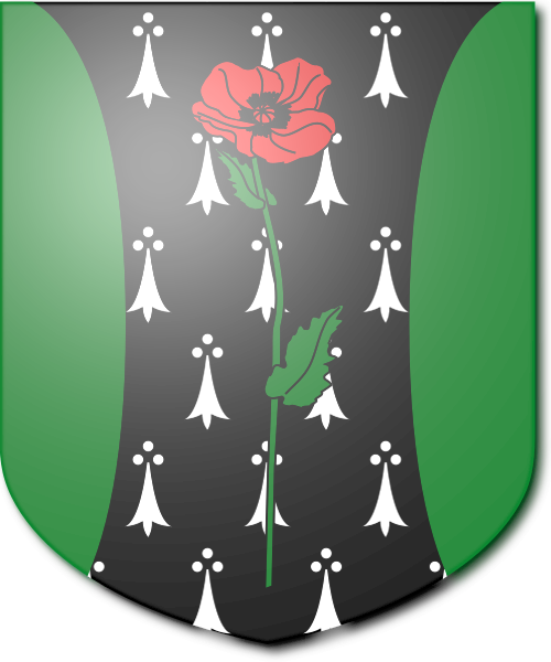 Shield image