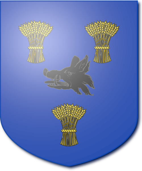 Shield image