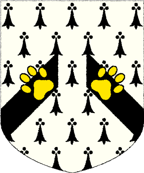 Shield image