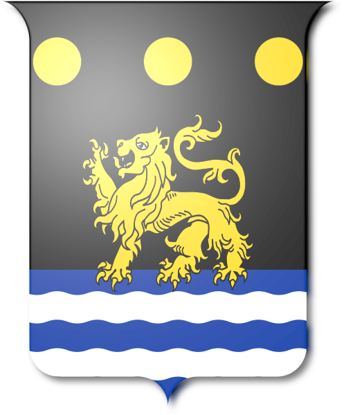 Shield image