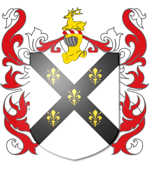 Shield image