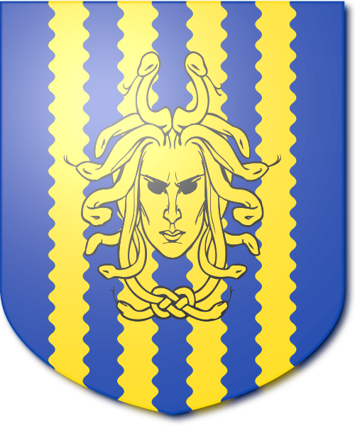 Shield image