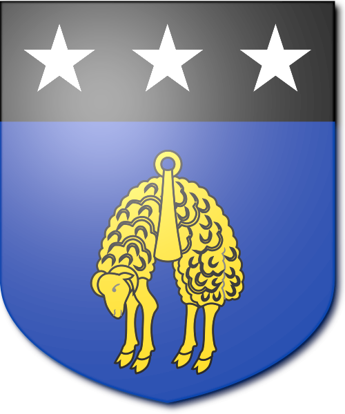 Shield image