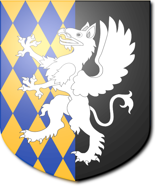Shield image