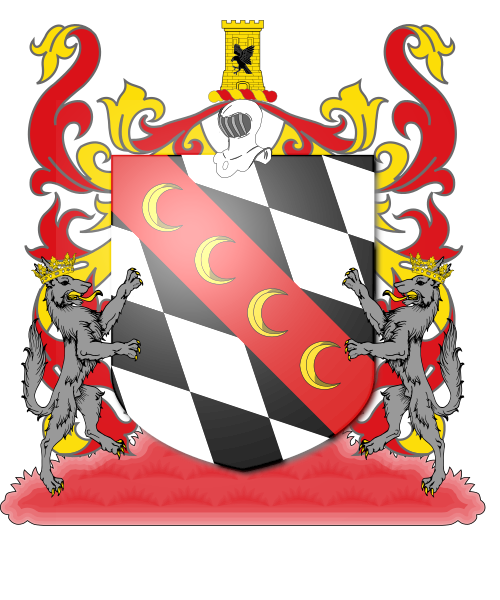Shield image