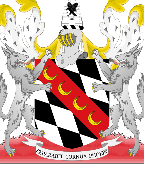 Shield image