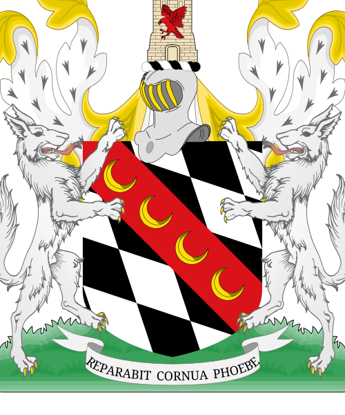 Shield image